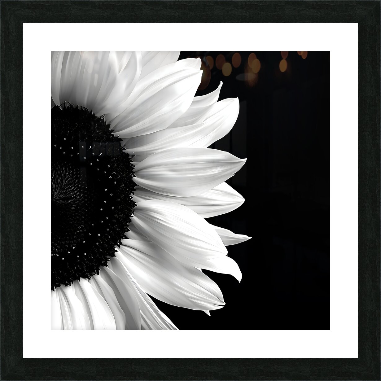 Framed black and white sunflower wall art print